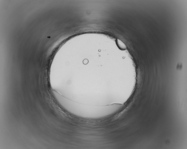 X0000111781453200909031121