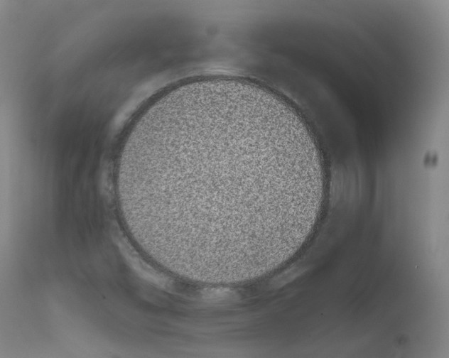 X0000111781454200909031121