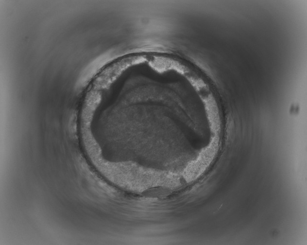 X0000111781455200909031121