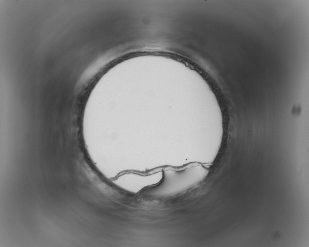 X0000111781456200909031121