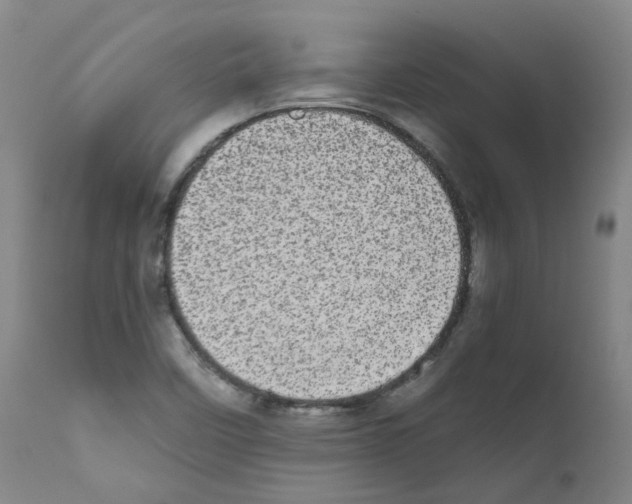 X0000111781458200909031121