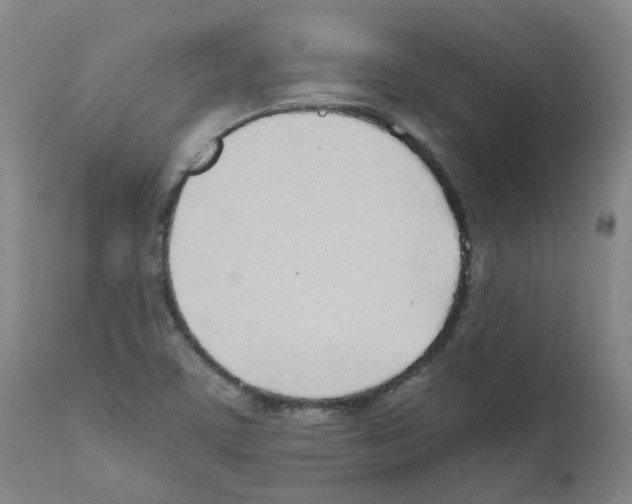 X0000111781459200909031121