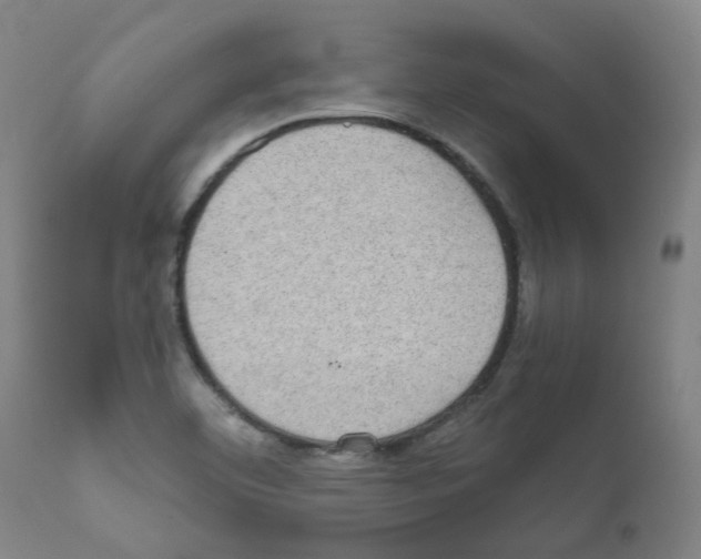 X0000111781460200909031121