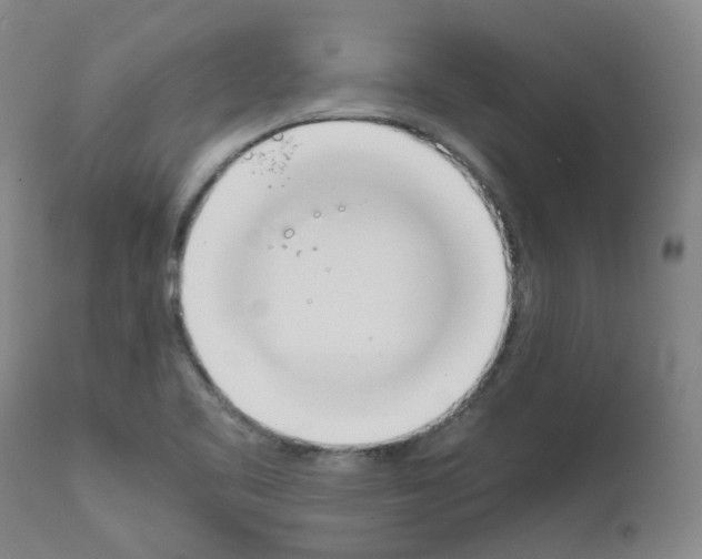 X0000111781461200909031121