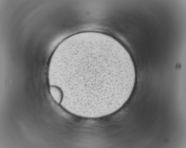 X0000111781463200909031121