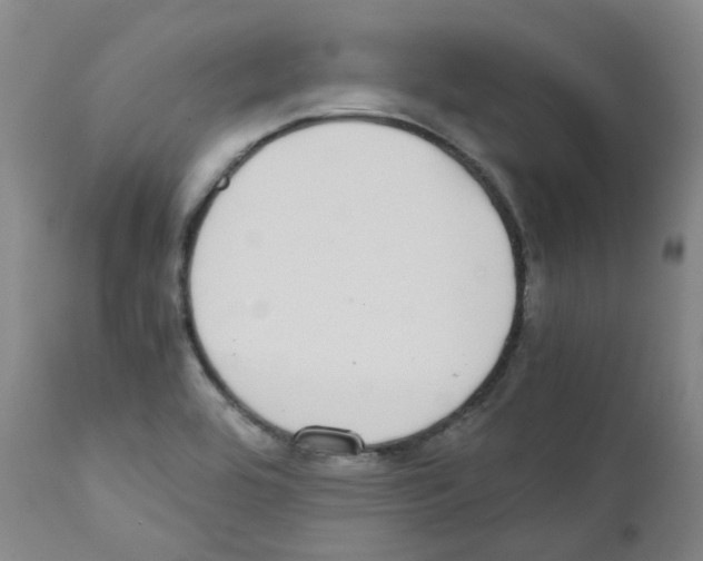 X0000111781464200909031121