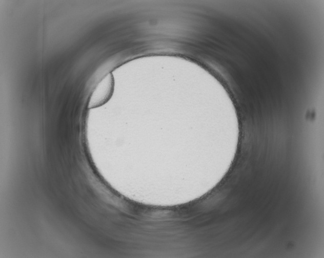 X0000111781467200909031121