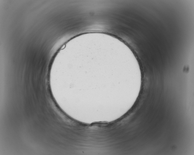 X0000111781469200909031121