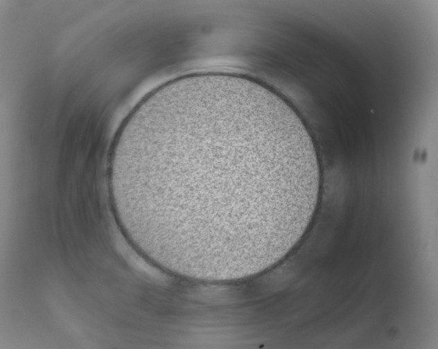 X0000111781470200909031121