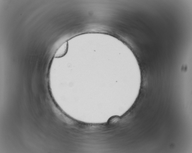 X0000111781471200909031121