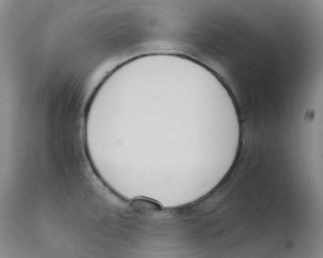 X0000111781472200909031121