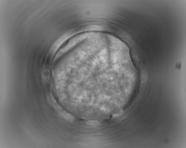 X0000111781473200909031121