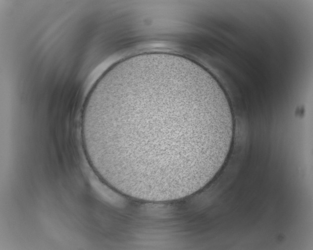 X0000111781474200909031121