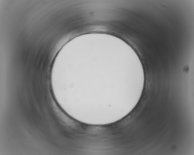 X0000111781475200909031121