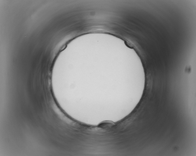 X0000111781476200909031121