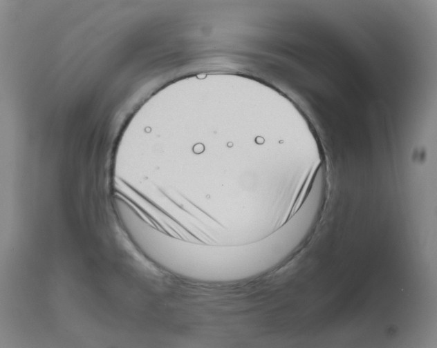 X0000111781477200909031121