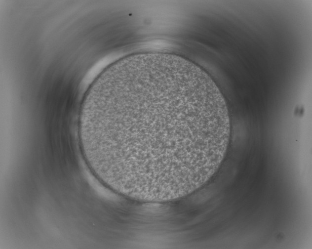 X0000111781478200909031121
