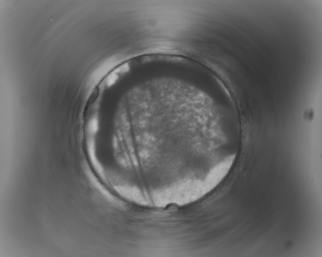 X0000111781479200909031121