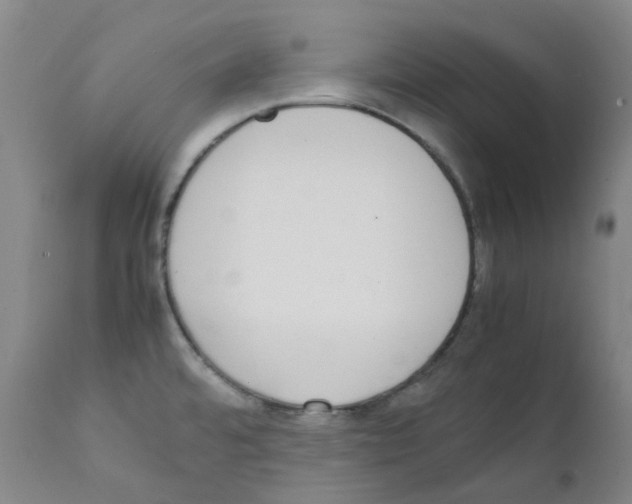 X0000111781480200909031121