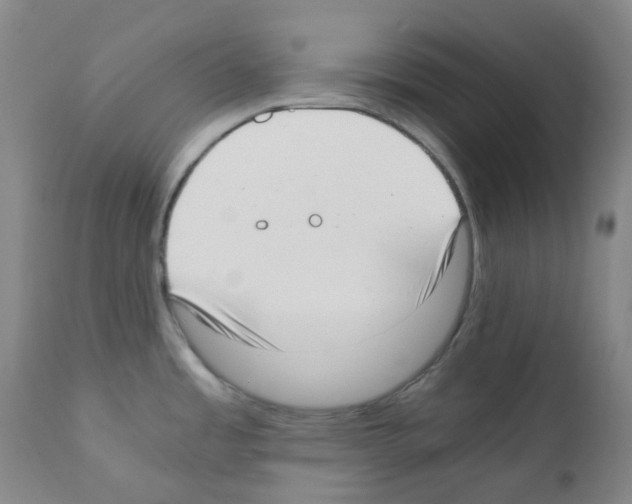 X0000111781485200909031121
