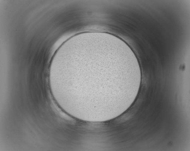 X0000111781486200909031121