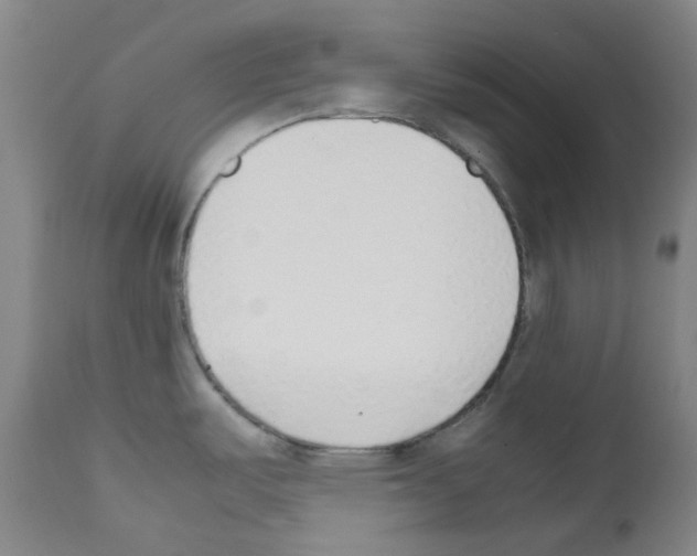 X0000111781487200909031121