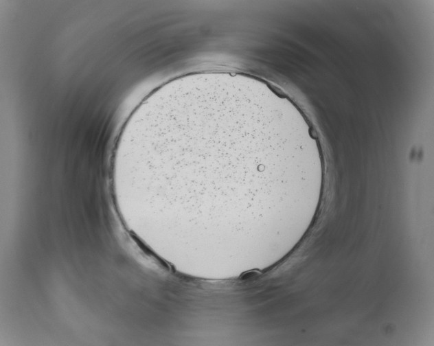 X0000111781488200909031121