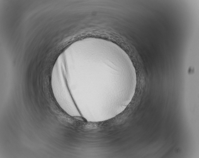 X0000111781489200909031120