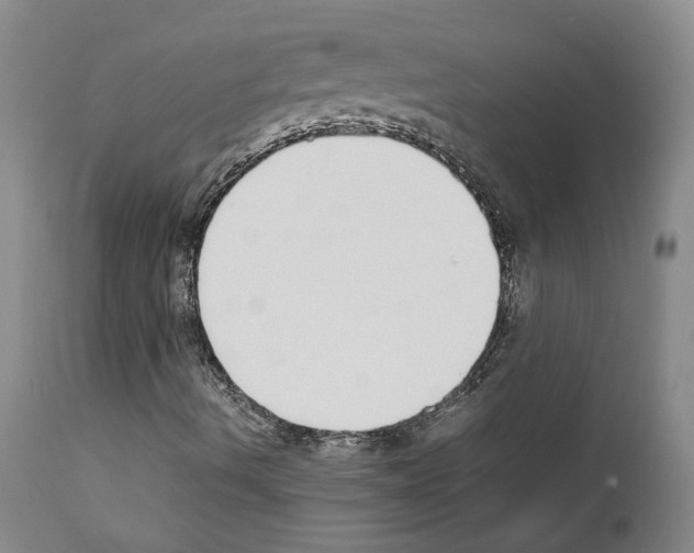 X0000111781490200909031120