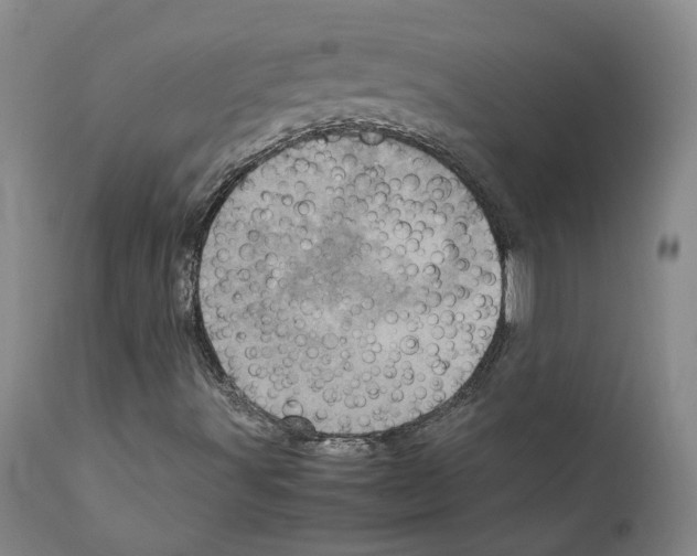 X0000111781491200909031120