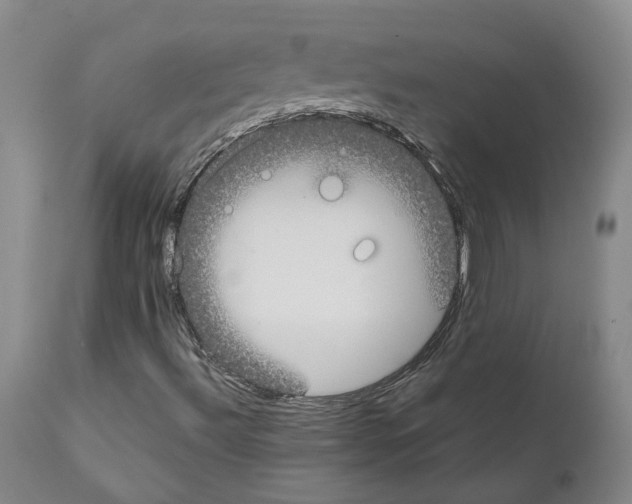 X0000111781492200909031120