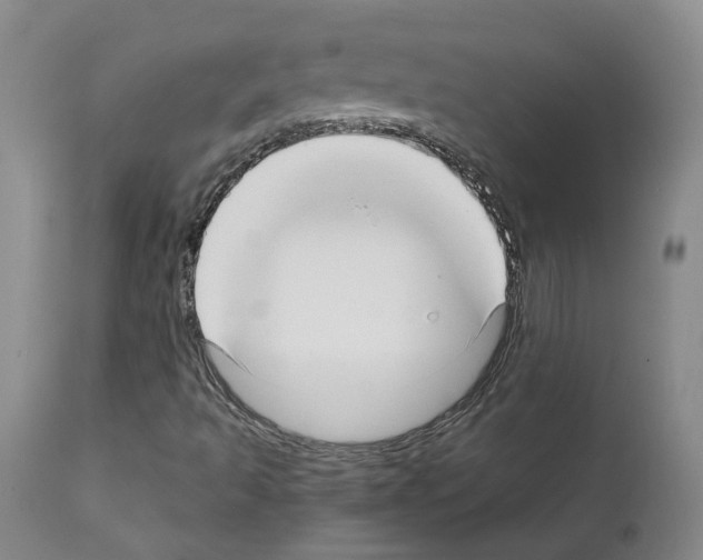 X0000111781493200909031120