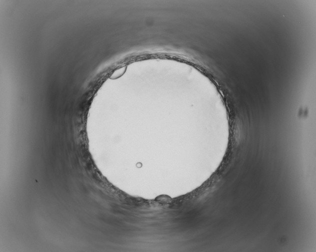 X0000111781494200909031120