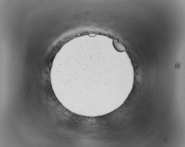 X0000111781495200909031120