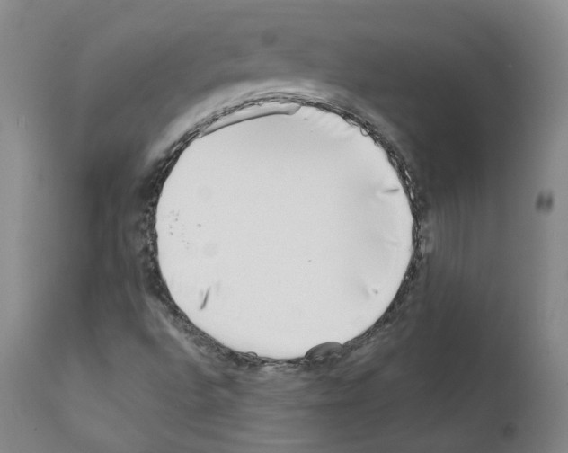 X0000111781496200909031120