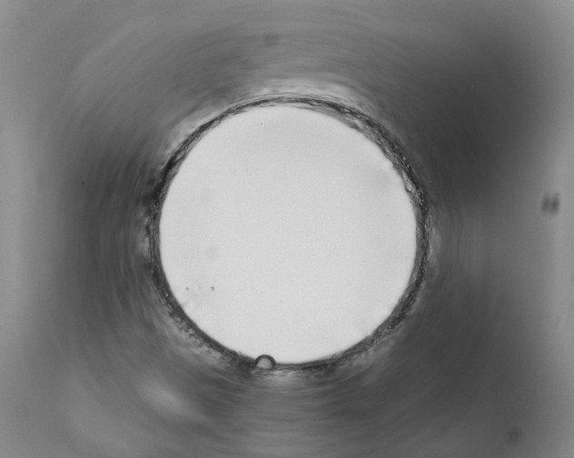 X0000111781497200909031120