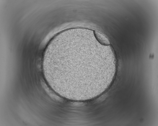 X0000111781499200909031120