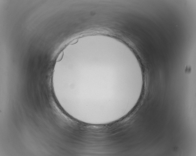 X0000111781500200909031120