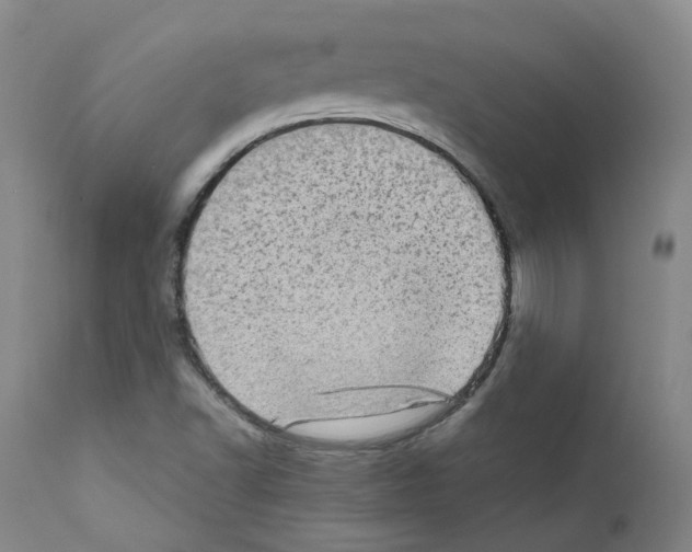 X0000111781502200909031120