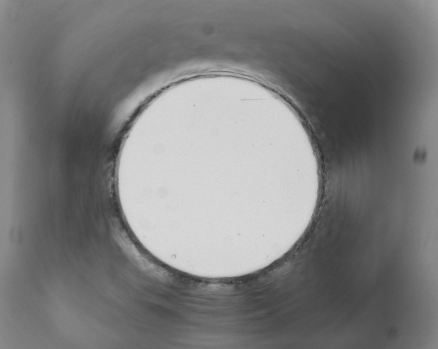 X0000111781503200909031120