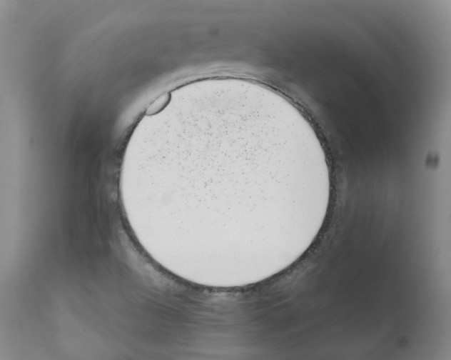 X0000111781504200909031120