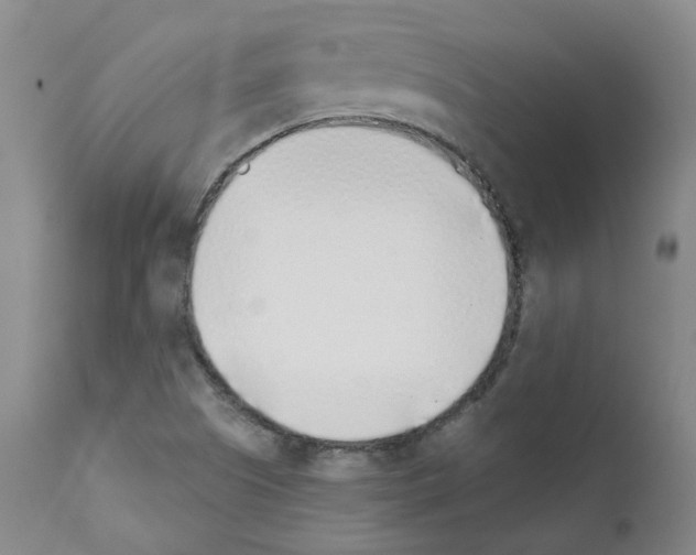 X0000111781505200909031120