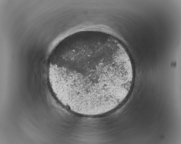 X0000111781506200909031120