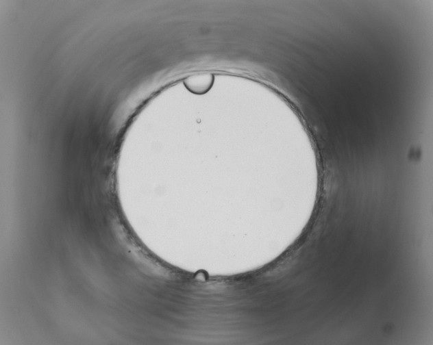 X0000111781507200909031120