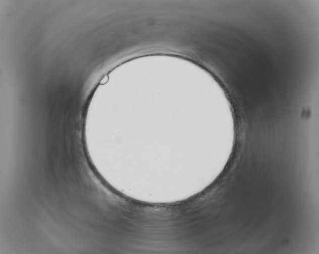 X0000111781508200909031120