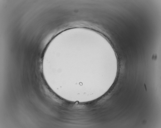 X0000111781509200909031120