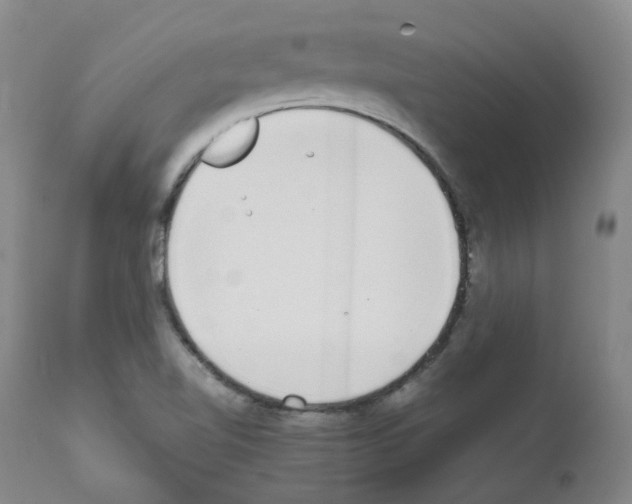 X0000111781510200909031120