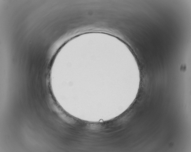 X0000111781511200909031120