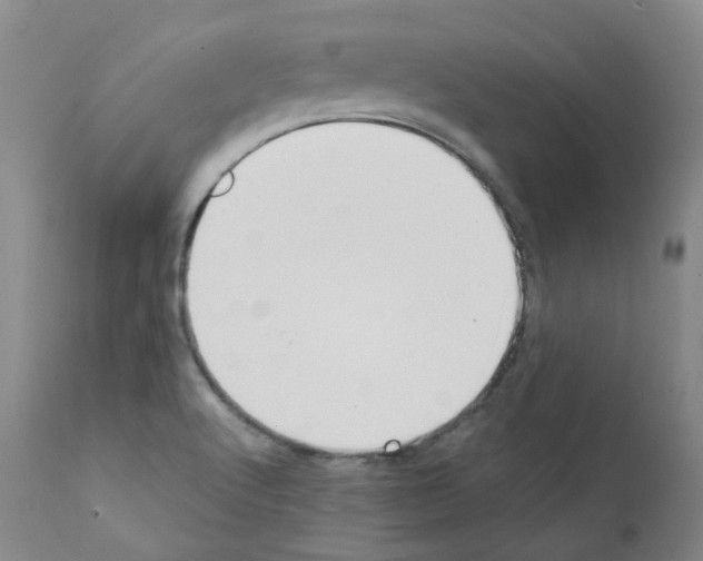 X0000111781512200909031120