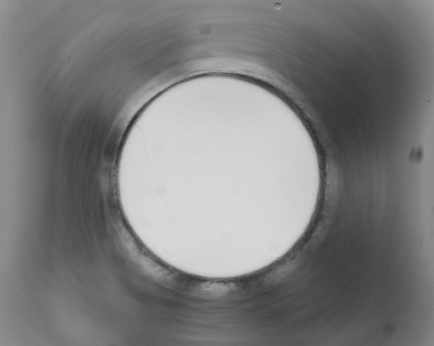 X0000111781513200909031120